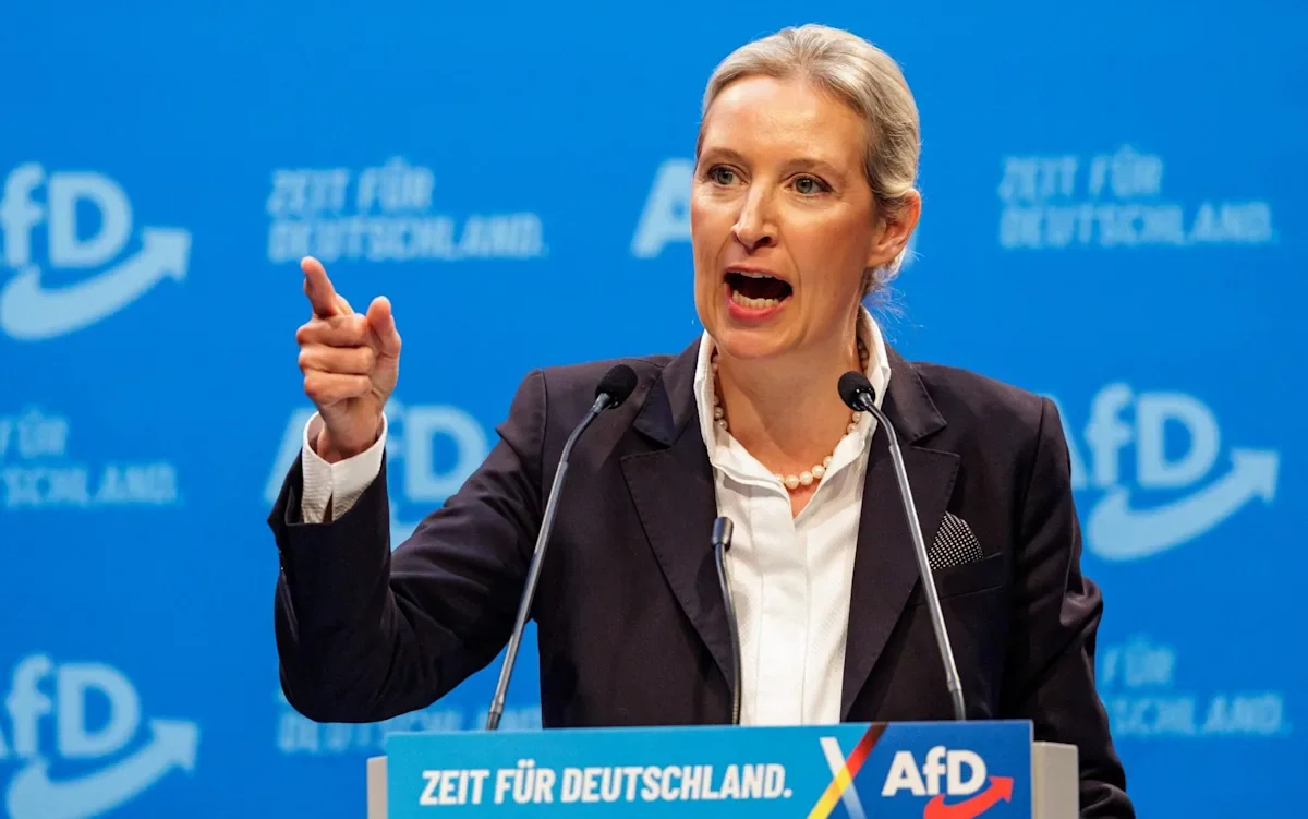 Almanya'da AfD lideri Euro’yu hedef aldı: İstikrarsız para primi