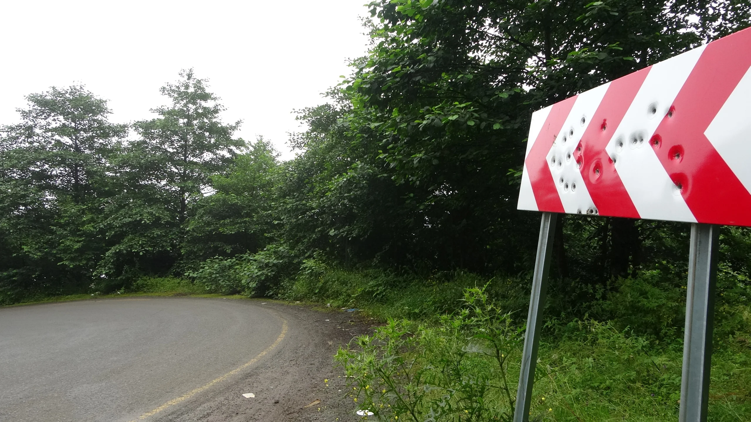 Karadeniz'de maganda terörü: Yön tabelaları kurşunların hedefi