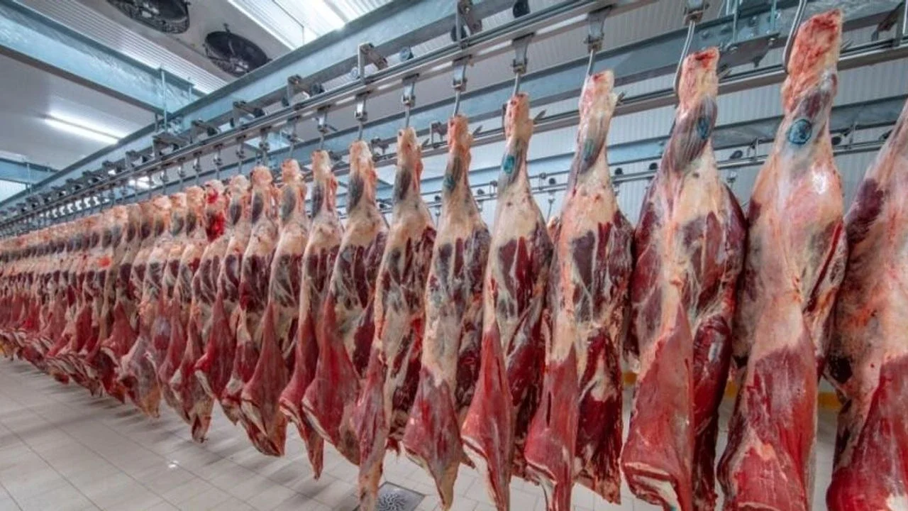 Karkas et kesim fiyatı piyasada 650 TL'ye dayandı!