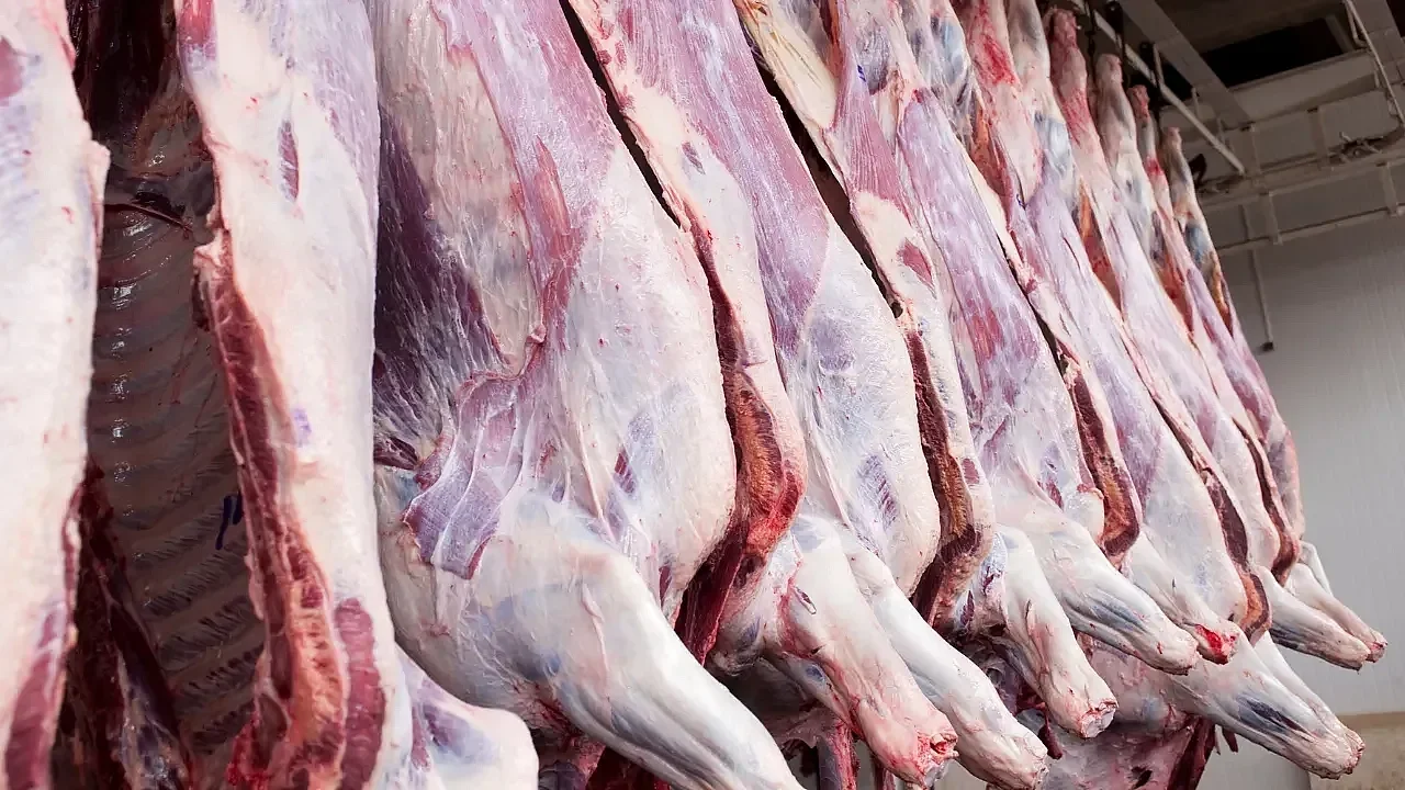 Karkas et kesim fiyatı piyasada 650 TL'ye dayandı!
