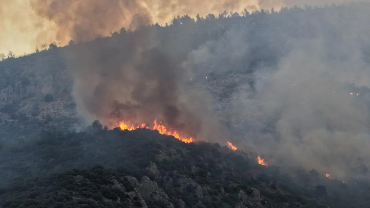 Manisa Kula'da orman yangını! 2 uçak ve 3 helikopter sevk edildi
