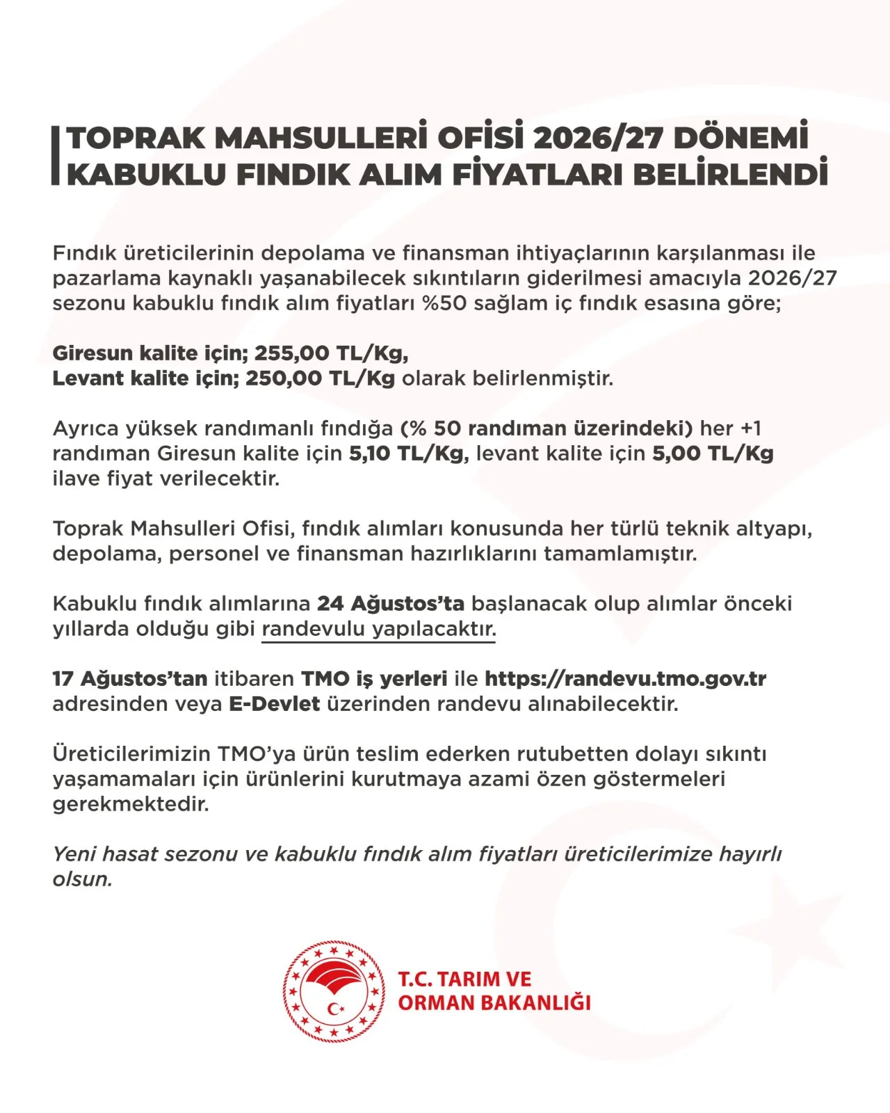 TMO fındık alım fiyatları açıklandı! Giresun kalite 255 TL