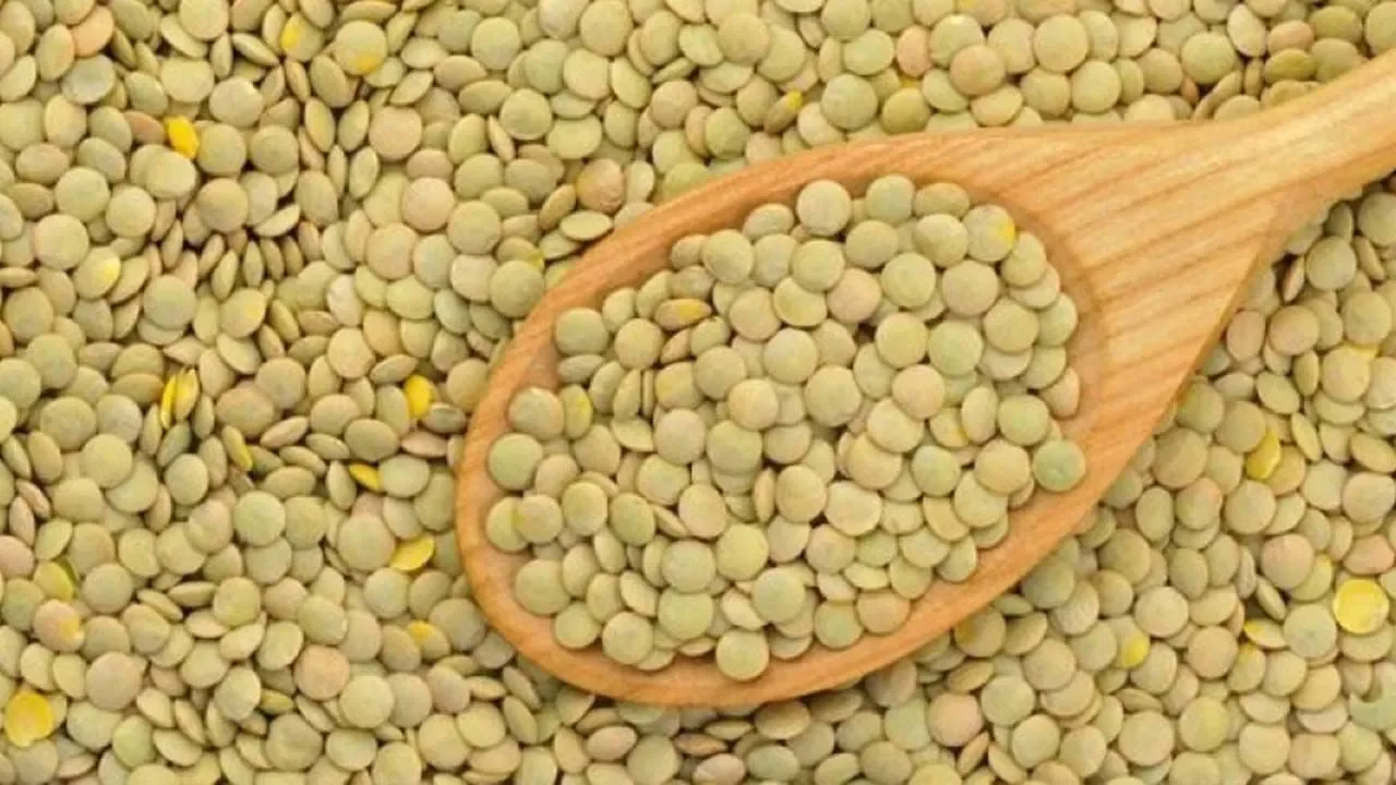 yesil-mercimek