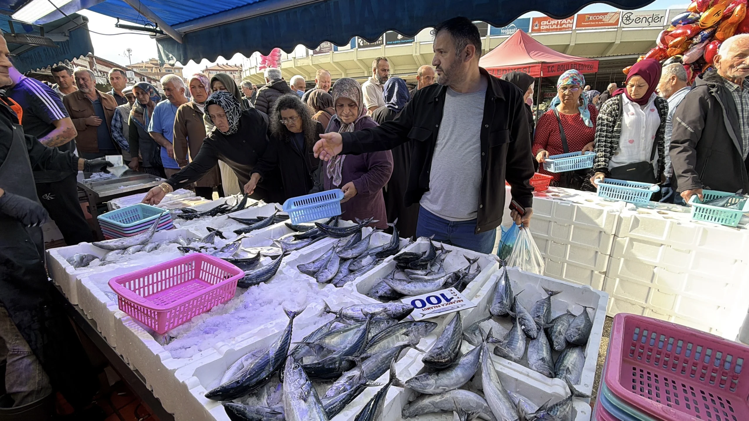 16 Eylül Salı balık fiyatları: Halde 53 TL olan hamsi tezgâhta kaç TL?