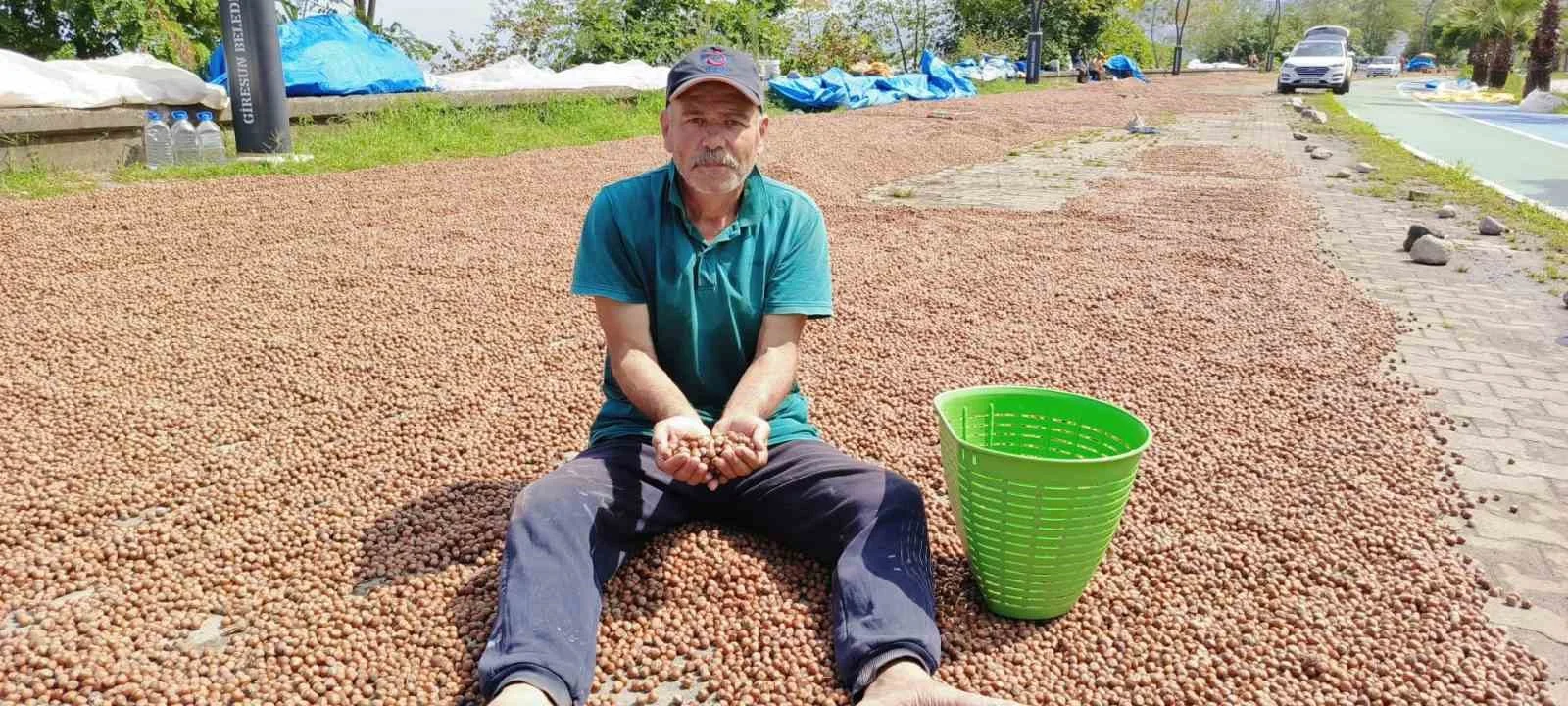 21 Eylül serbest piyasa il ilçe ilçe fındık fiyatları: Batı'da 150, Doğu'da 205 TL