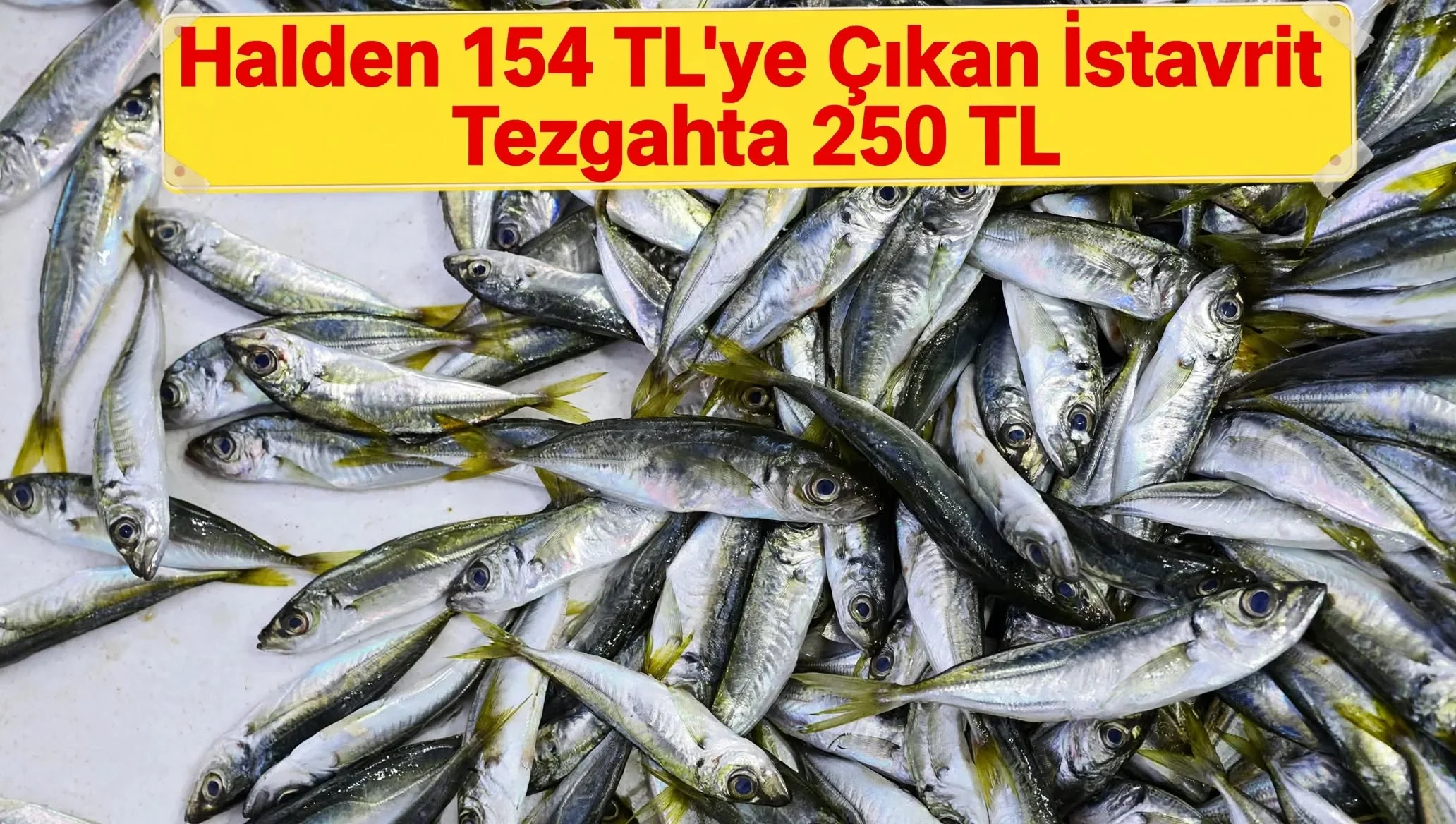 9 Eylül İBB hal fiyatları açıklandı! Halde 95 TL olan palamut tezgahta 200 TL