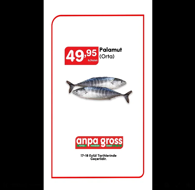 anpa-gross-tan-balik-tutkunlarina-mujde-palamut-fiyati-50-tl-altinda-1.webp