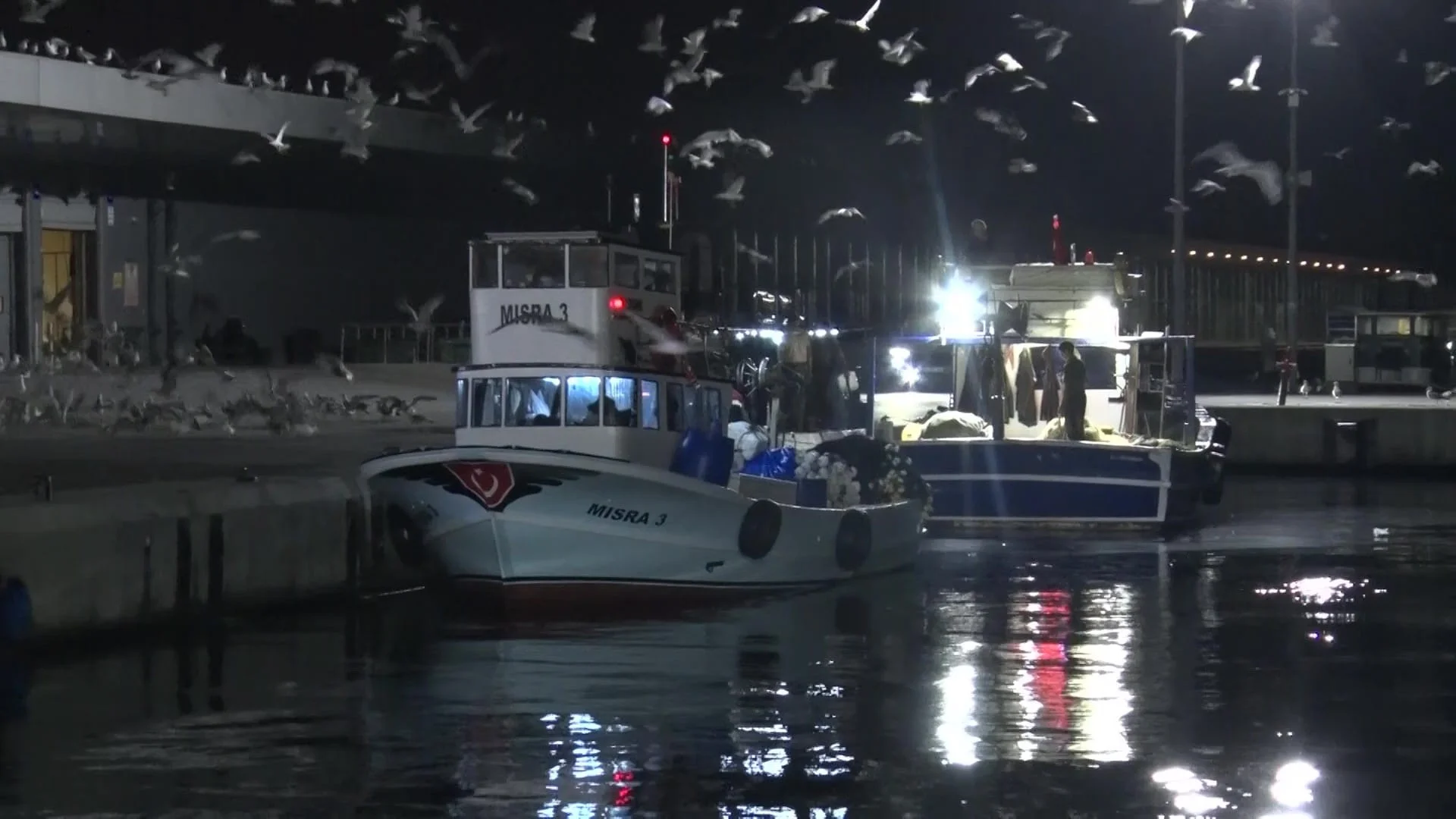Hamsi halde 53 TL, tezgâhta 200 TL! Palamutta 3 boy fiyatı listelendi