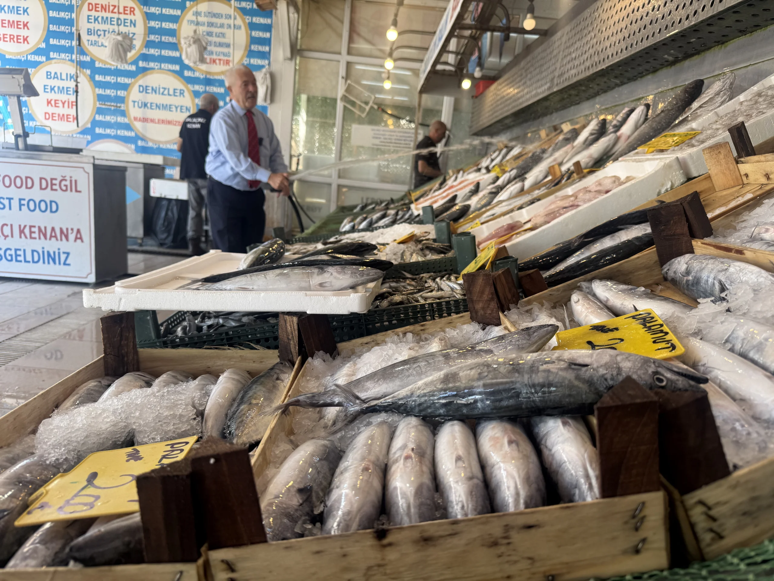 Hamsi halde 53 TL, tezgâhta 200 TL! Palamutta 3 boy fiyatı listelendi