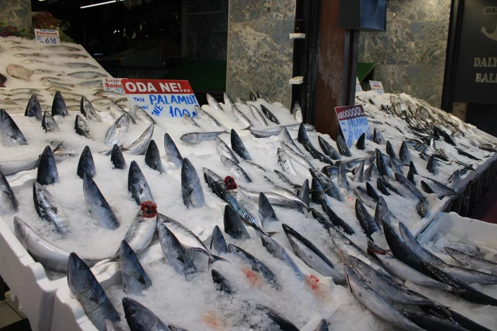 Hamsi halde 53 TL, tezgâhta 200 TL! Palamutta 3 boy fiyatı listelendi