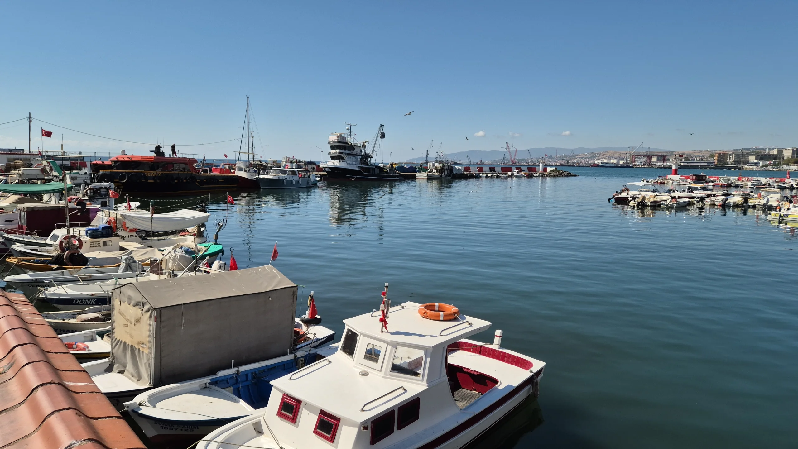 karadeniz-de-palamut-bereketi-sezon-150-tl-den-acildi-3.webp