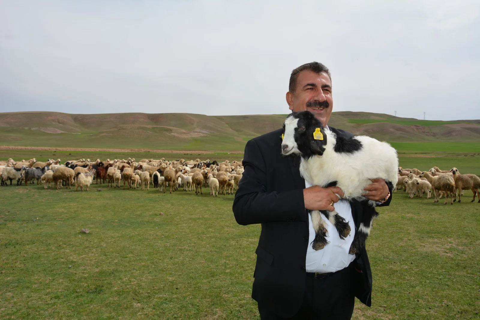 Küçükbaşta 150 bin hayvan desteğine kritik çağrı