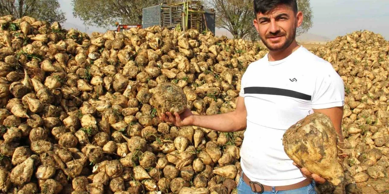 Şeker pancarı fiyatı ne zaman açıklanacak? Bu yıl ilk kez mutabakat şartı var