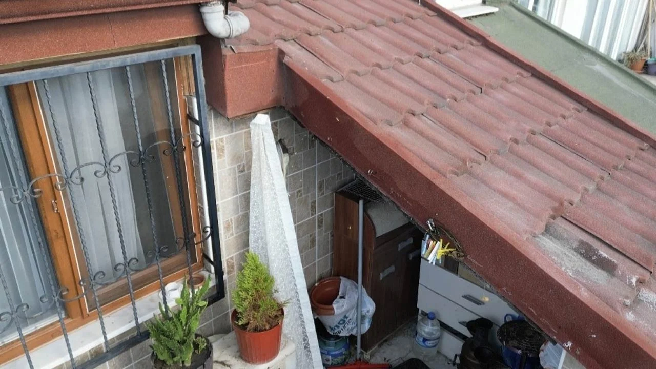 Sultangazi'de arı istilası: Aile 10 gündür mağdur! Korku içindeler