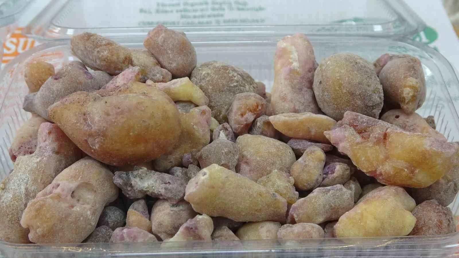 Artvin’in köknar sakızı kilosu 10 bin liraya kadar çıkıyor