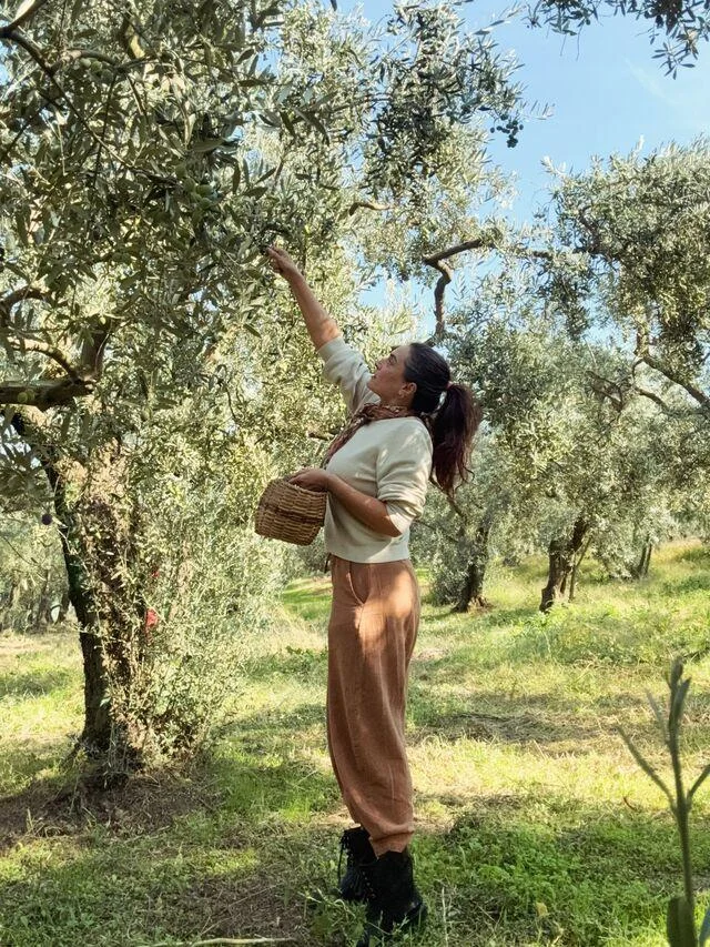 Aslıhan Gürbüz, Ayvalık’ta zeytin veriminden mutlu!