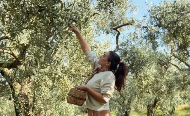Aslıhan Gürbüz, Ayvalık’ta zeytin veriminden mutlu!