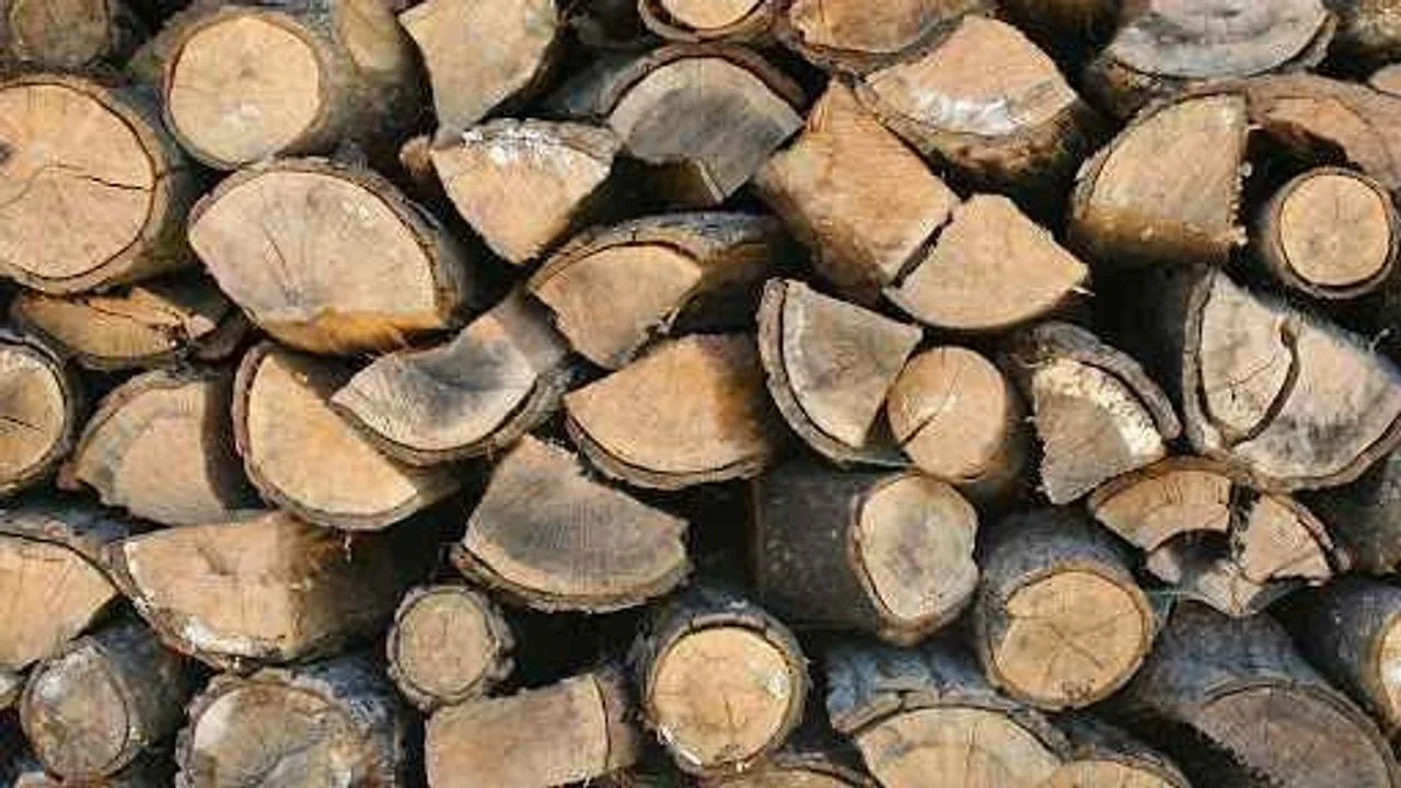 Kışlık odun fiyatları zamlandı! Meşe tonu 7.500 TL’ye çıktı