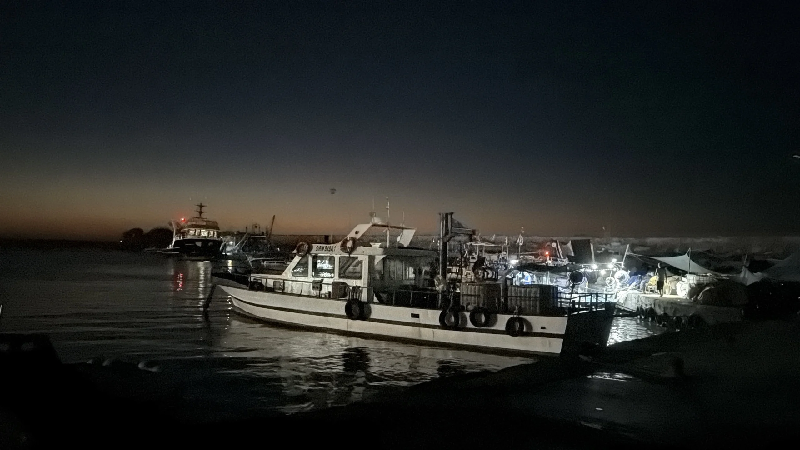 Palamut 30 TL'ye kadar düştü, avcılığa geçici ara çağrısı geldi