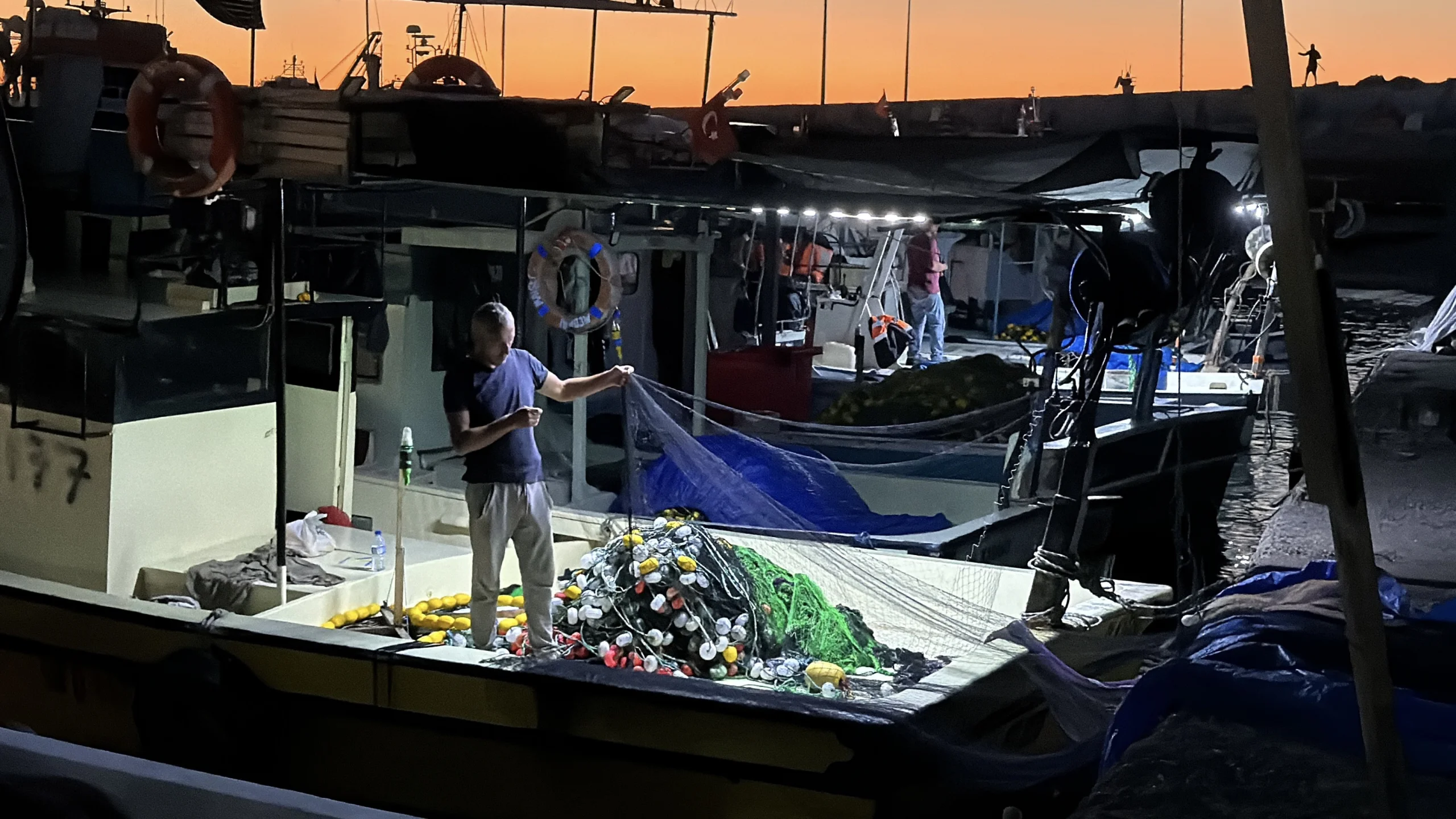 Palamut 30 TL'ye kadar düştü, avcılığa geçici ara çağrısı geldi