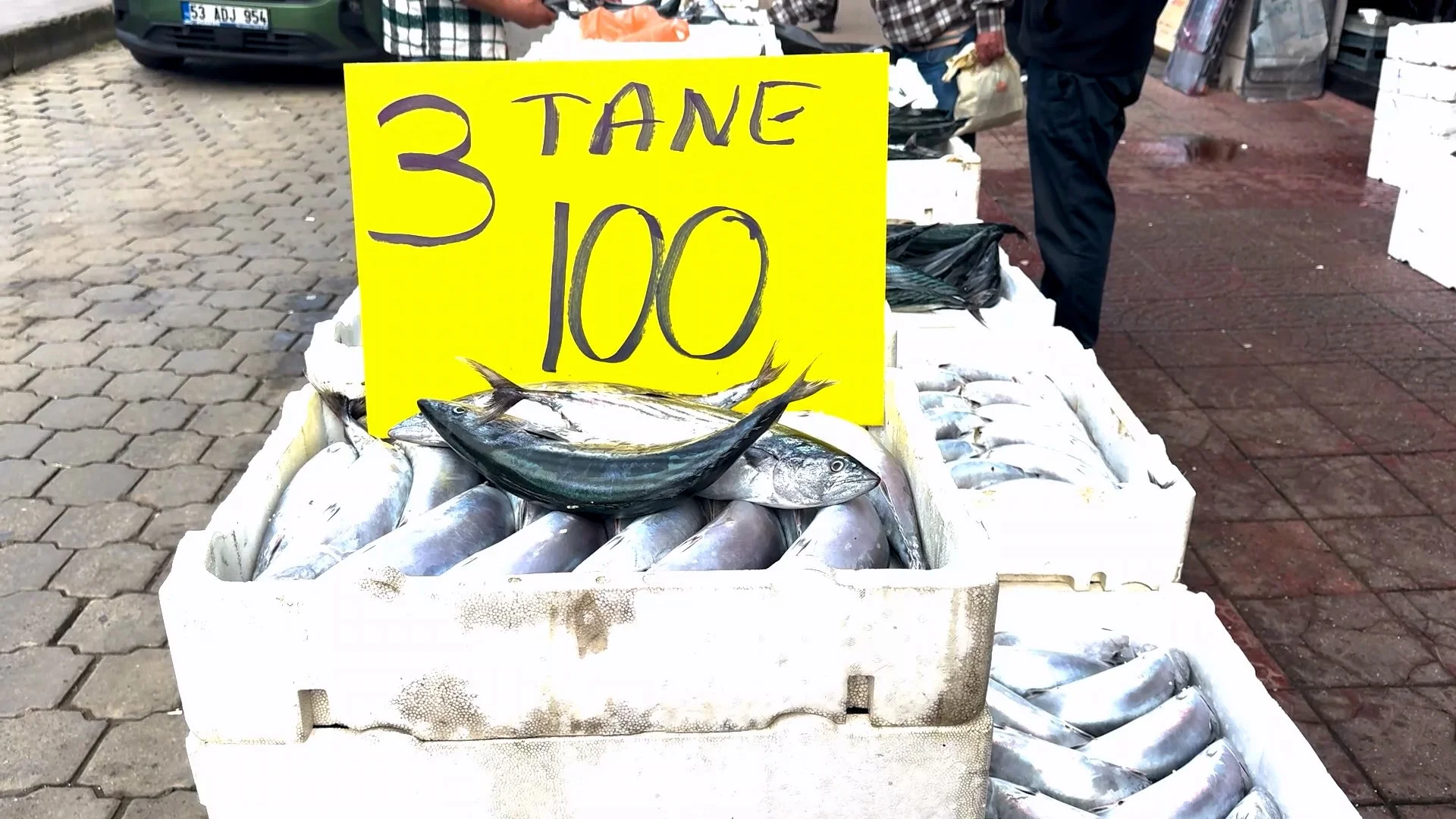 Palamut 30 TL'ye kadar düştü, avcılığa geçici ara çağrısı geldi