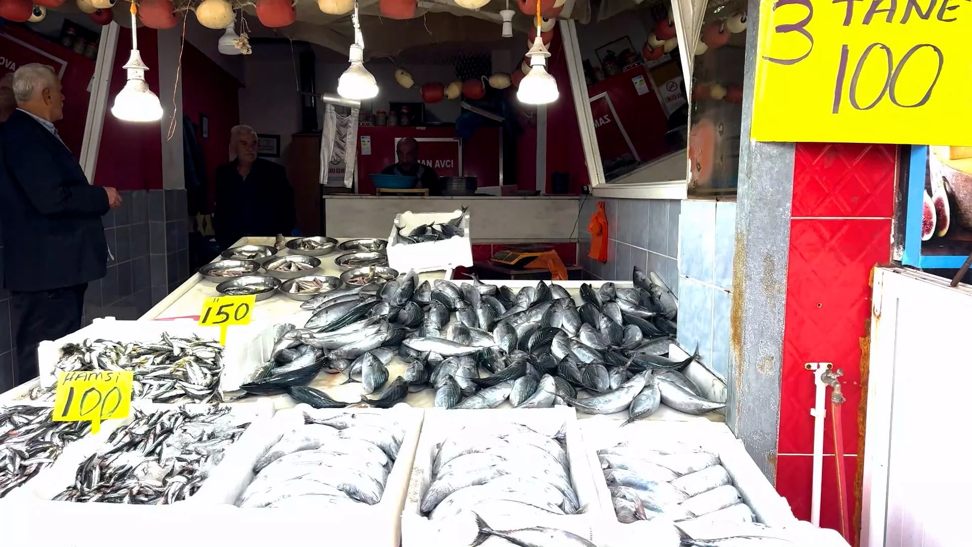 Palamut 30 TL'ye kadar düştü, avcılığa geçici ara çağrısı geldi