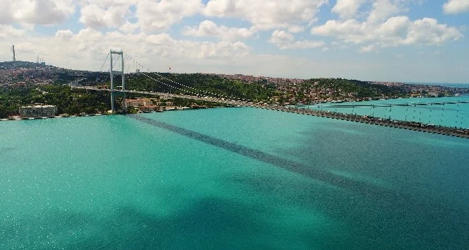 Boğazın Turkuaz Rüyası: Mikroskobik Canlılar ve Şehrin Dokusuyla İç içe Geçen Deniz Güzelliği