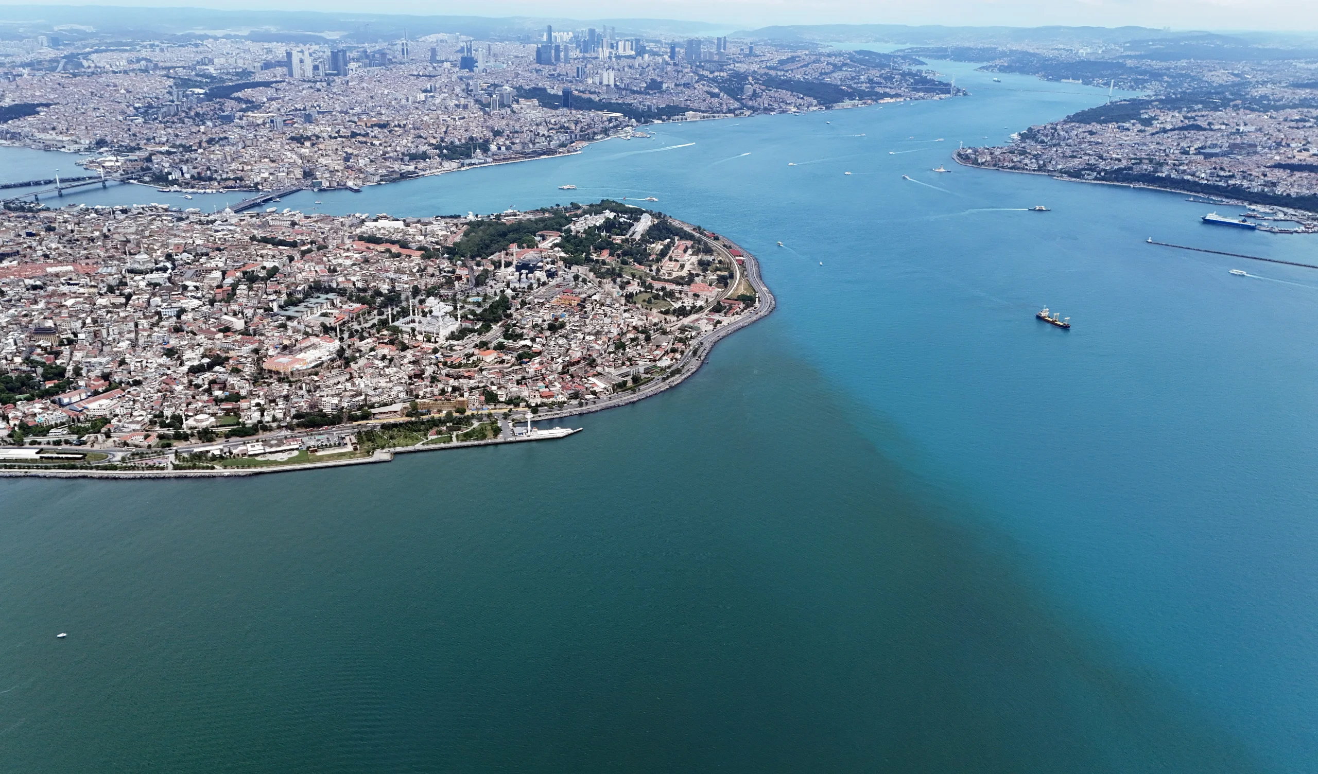 Boğazın Turkuaz Rüyası: Mikroskobik Canlılar ve Şehrin Dokusuyla İç içe Geçen Deniz Güzelliği