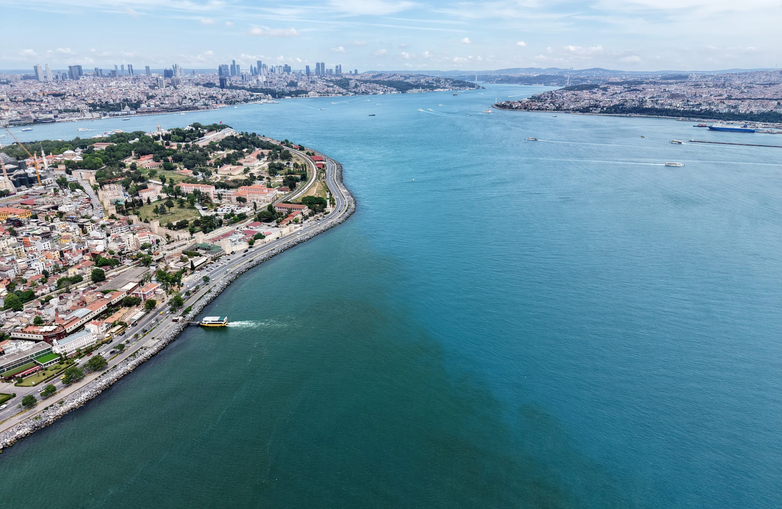 Boğazın Turkuaz Rüyası: Mikroskobik Canlılar ve Şehrin Dokusuyla İç içe Geçen Deniz Güzelliği